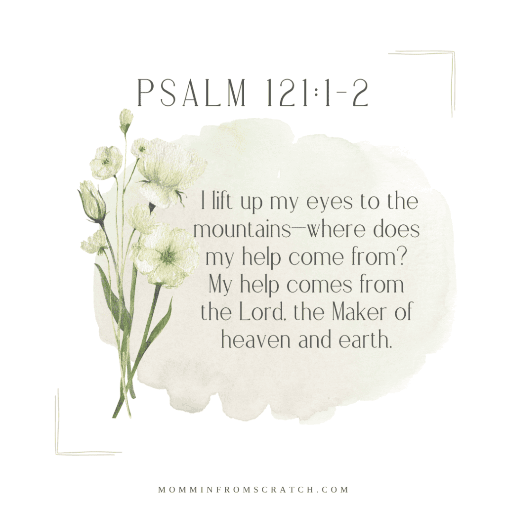 Psalm 121 - 2 lift my eyes to the mountain where help comes from earth.