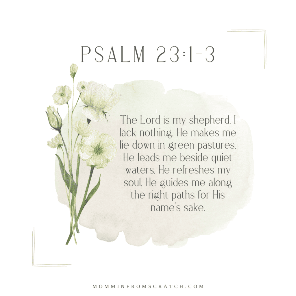 The lord is my shepherd - psalm 23 - 13.