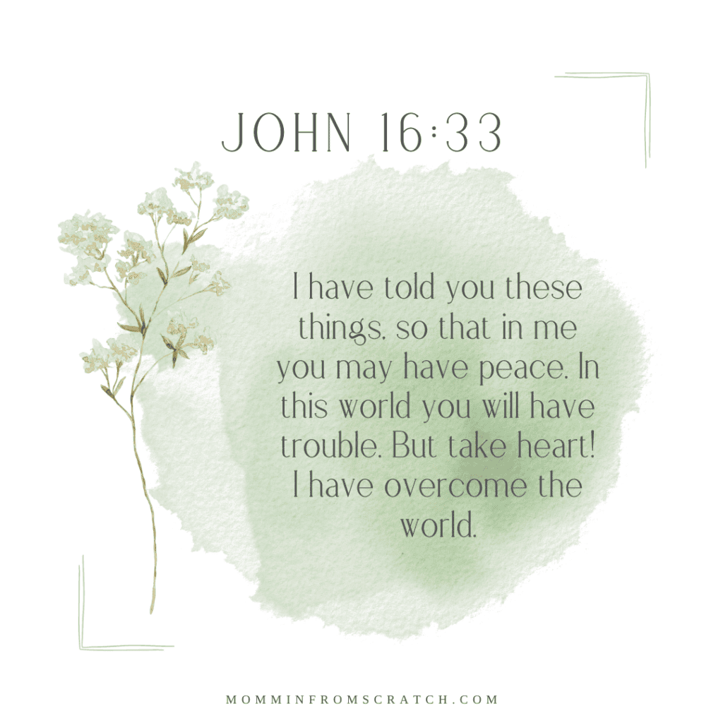 John 16:33 i have told you these things so that you may have peace in the world.