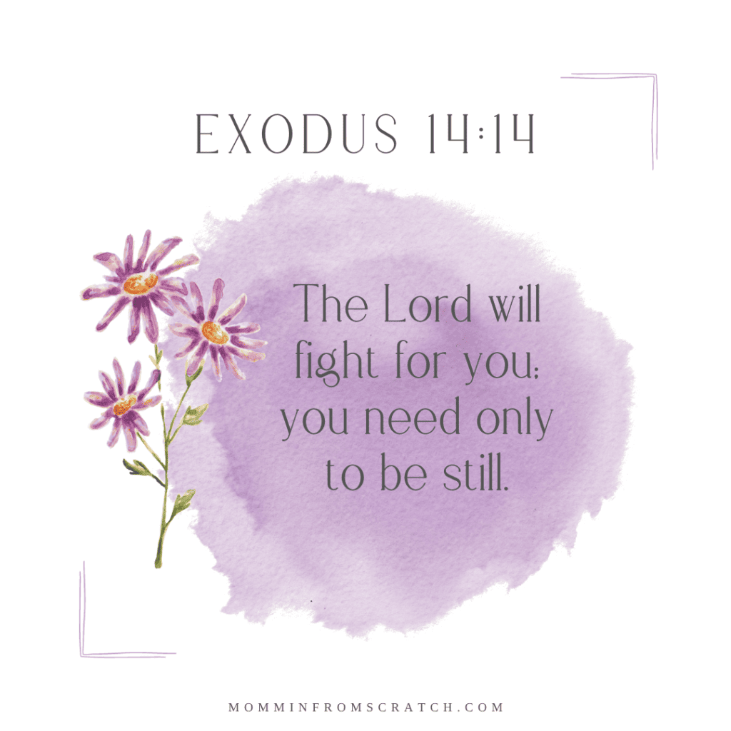 Exodus the lord will fight for you only you need to be still.