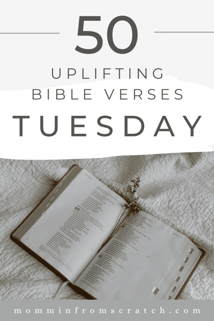 Discover the power of 50 uplifting Bible verses for Tuesday blessings.