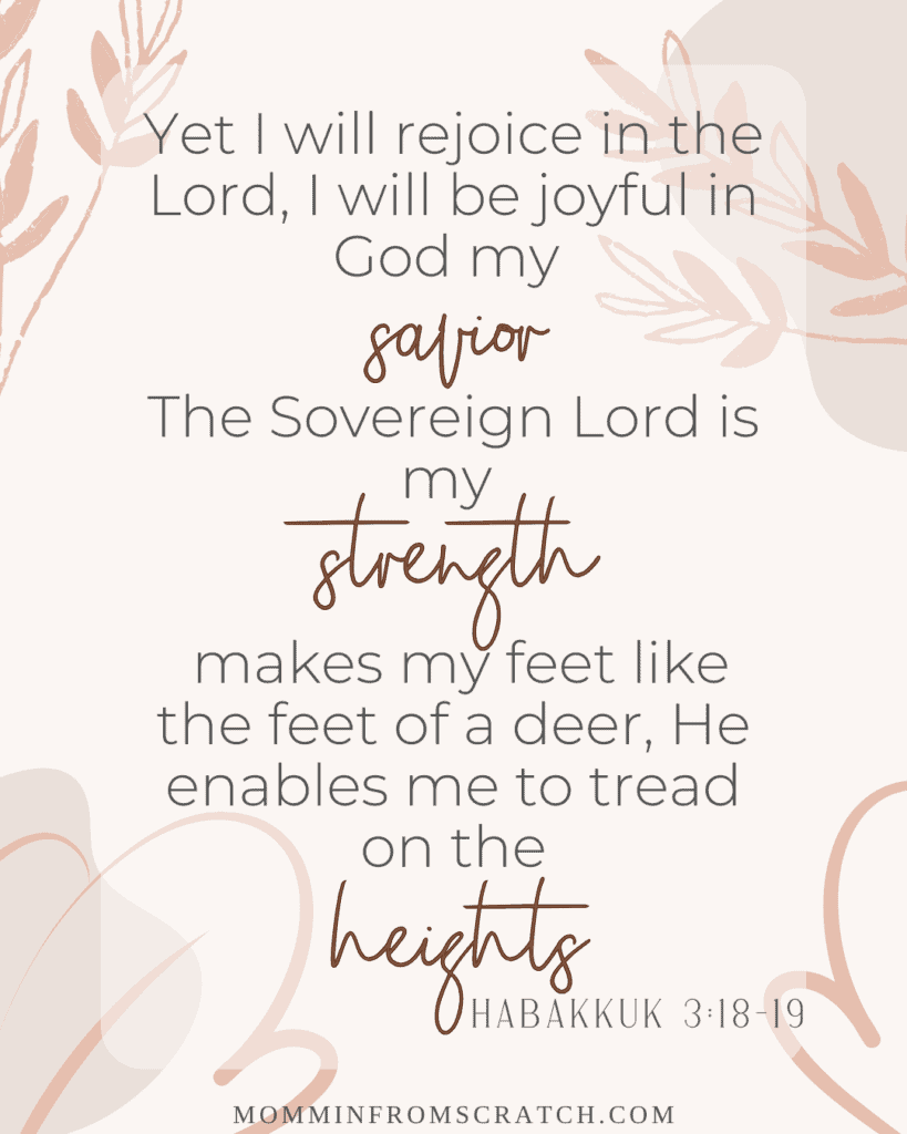Yet i will rejoice in the lord i will be joyful in the sovereign lord.
