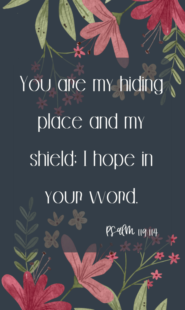 You are my hiding place and my shield i hope in your word.